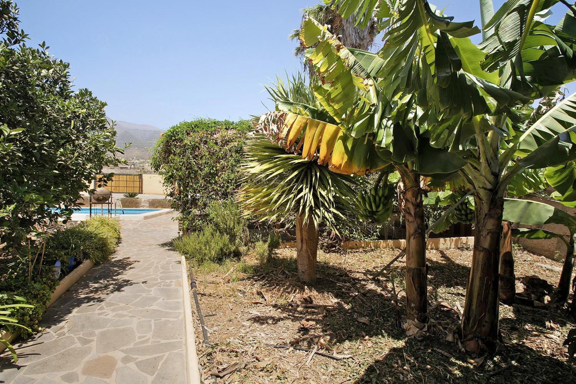 Las Tres Palmeras Guimar Exterior photo